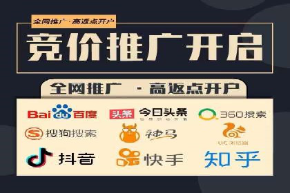 竞价排名在电商行业的实战案例